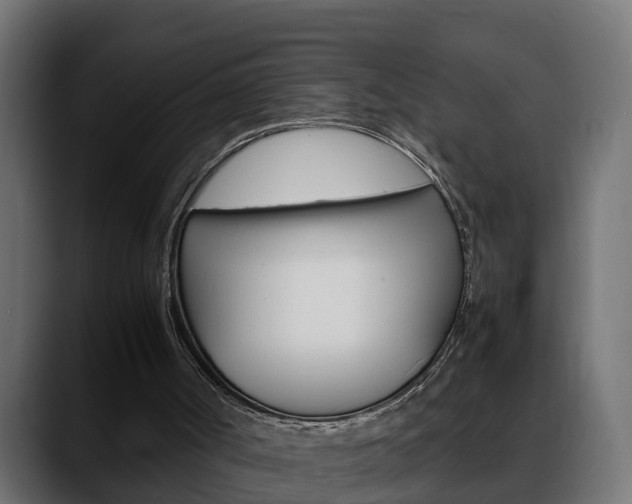 X0000088640002200705250928