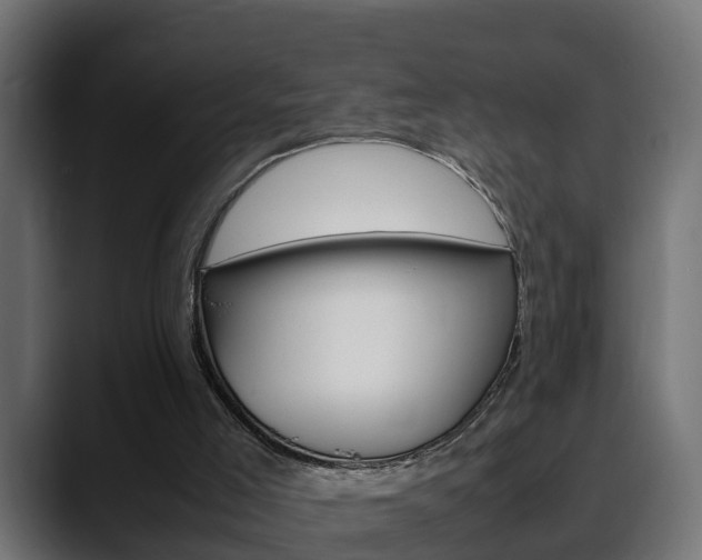 X0000088640005200705250928