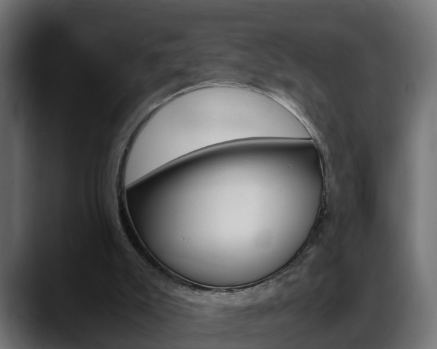 X0000088640007200705250928