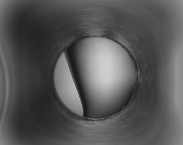 X0000088640013200705250928