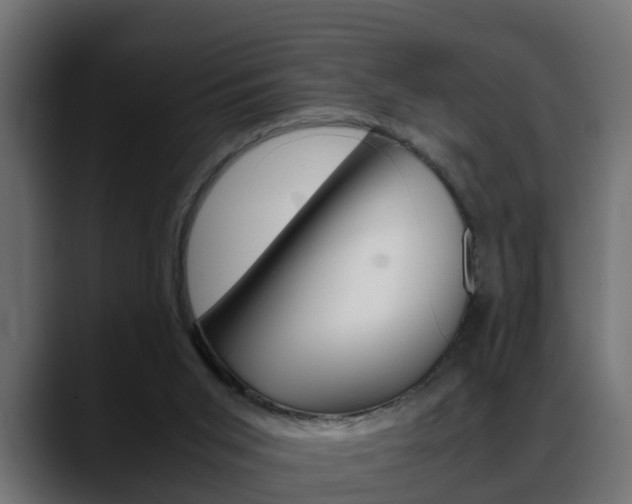 X0000088640015200705250928