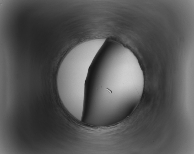 X0000088640019200705250928