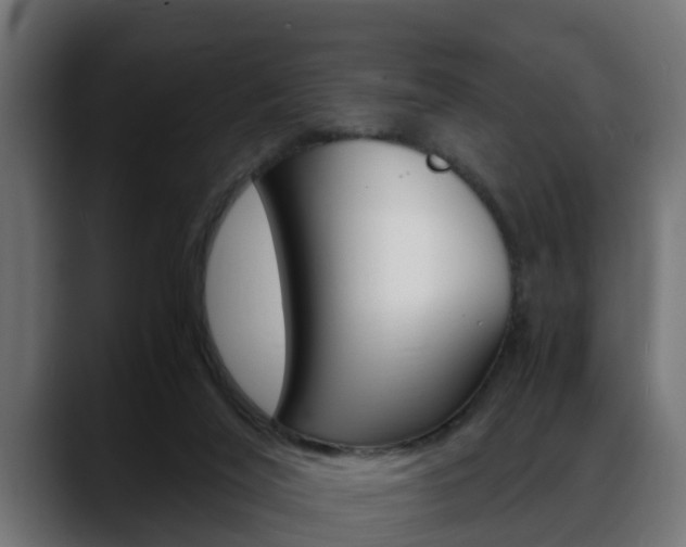 X0000088640020200705250928