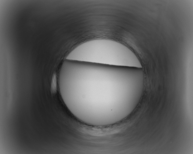 X0000088640022200705250928