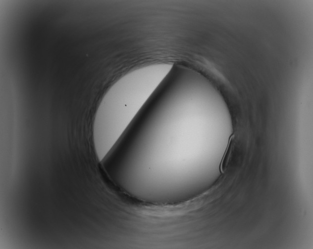 X0000088640025200705250928