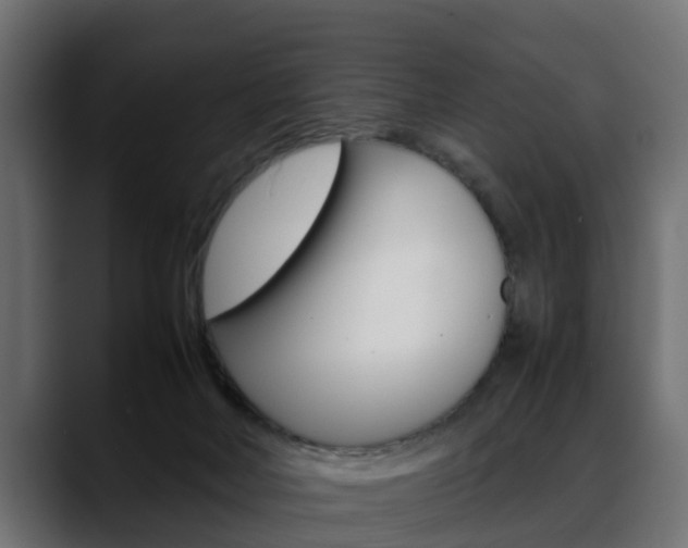 X0000088640026200705250928