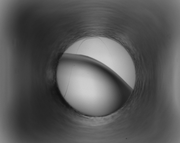 X0000088640031200705250928