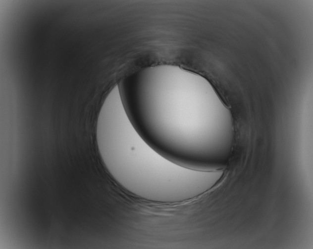 X0000088640033200705250928