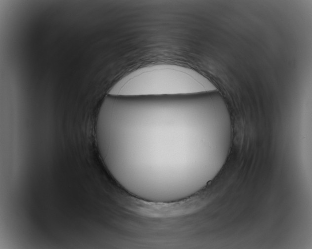 X0000088640034200705250928