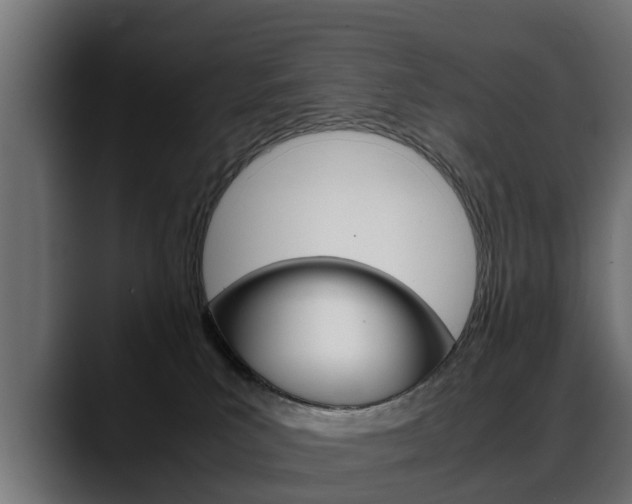 X0000088640039200705250928
