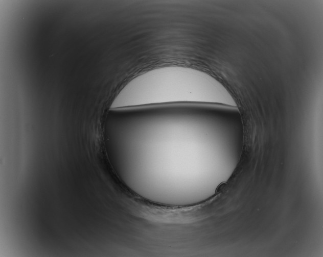 X0000088640040200705250928