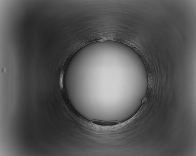 X0000088640047200705250927