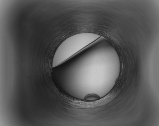 X0000088640048200705250927