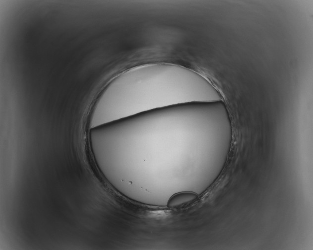X0000088640053200705250927