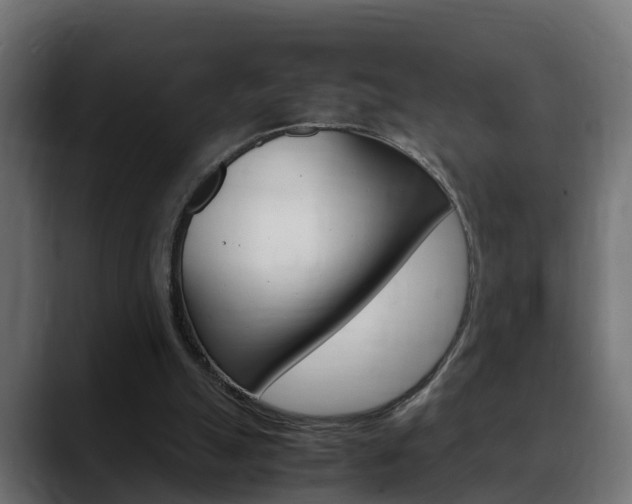 X0000088640055200705250927