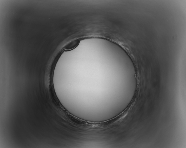 X0000088640056200705250927