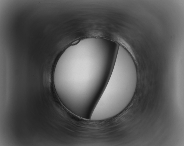 X0000088640059200705250927