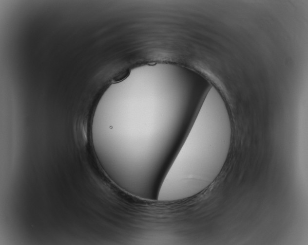 X0000088640062200705250927