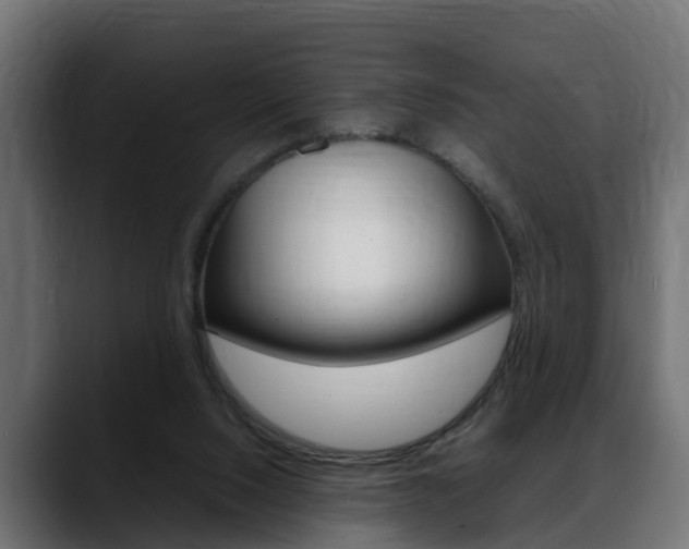 X0000088640064200705250927