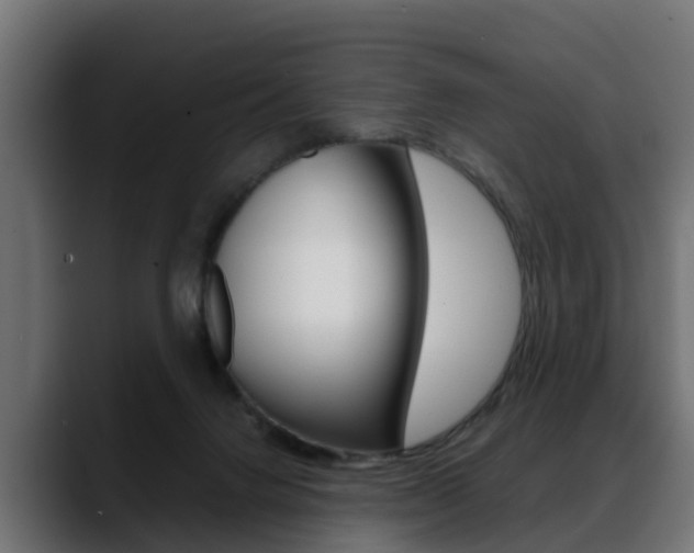 X0000088640072200705250927