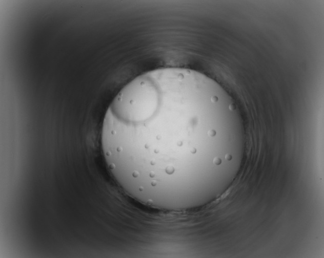 X0000088640078200705250927
