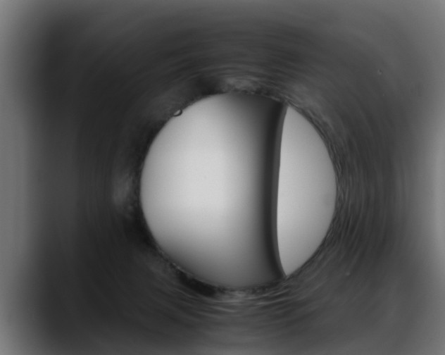 X0000088640079200705250927