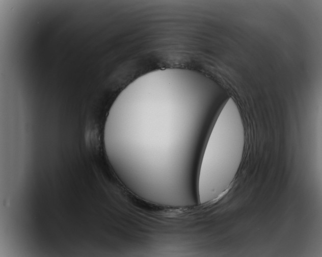 X0000088640086200705250927