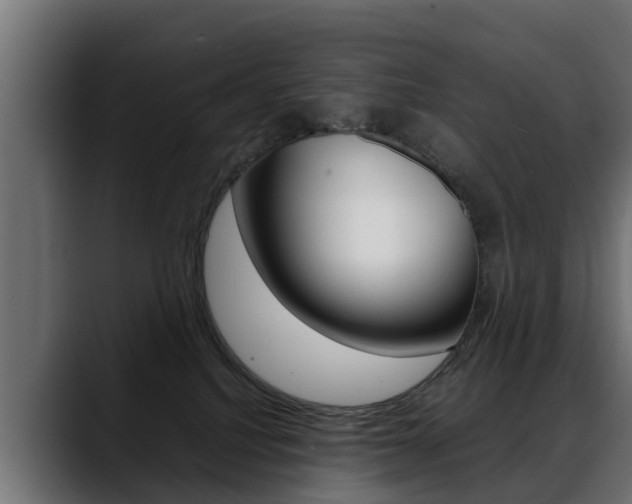 X0000088640088200705250927