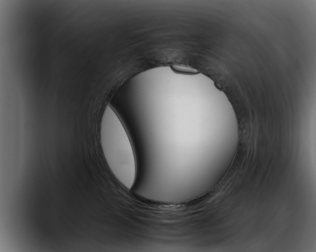 X0000088640089200705250927