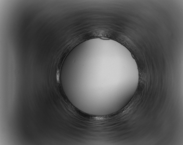 X0000088640095200705250927