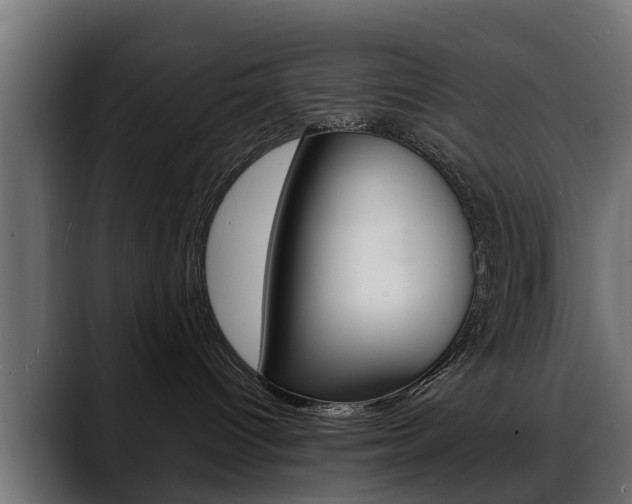 X0000088640096200705250927
