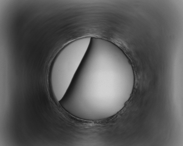 X0000088640098200705250927