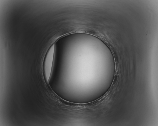 X0000088640099200705250927