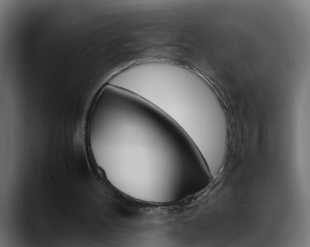 X0000088640100200705250927