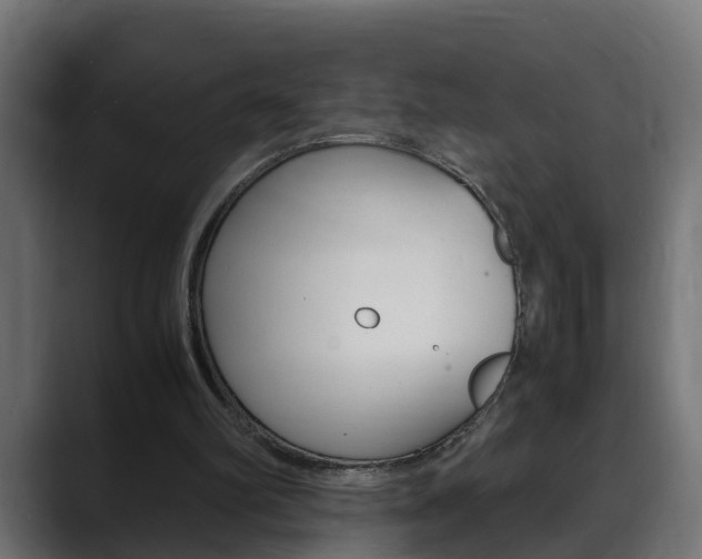 X0000088640102200705250927