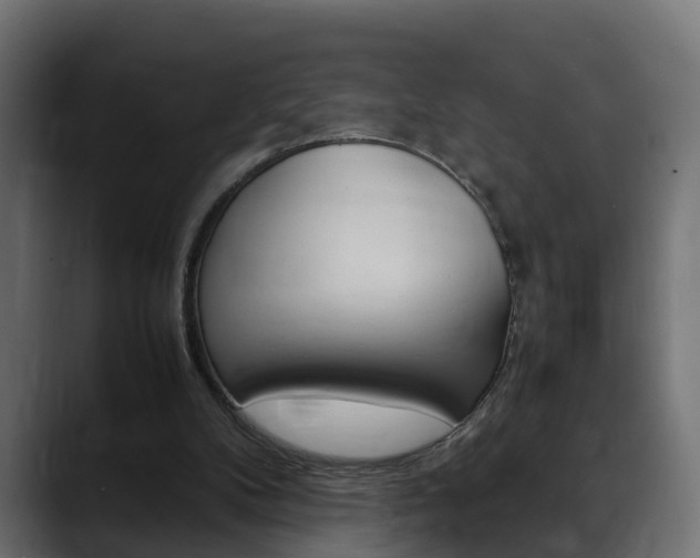 X0000088640104200705250927