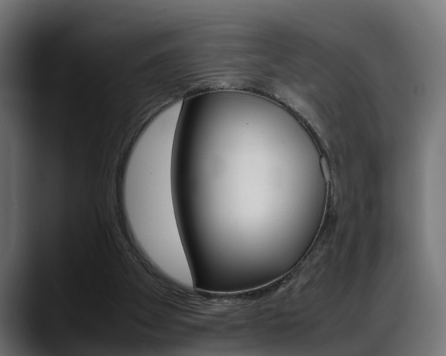 X0000088640105200705250927