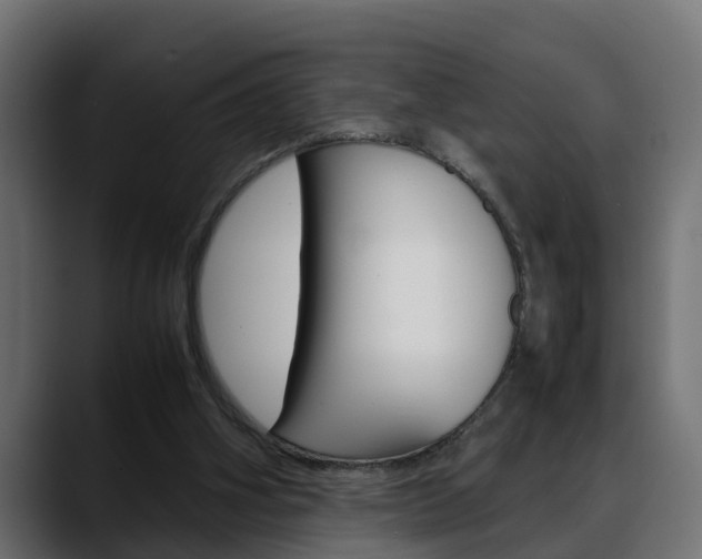 X0000088640106200705250927