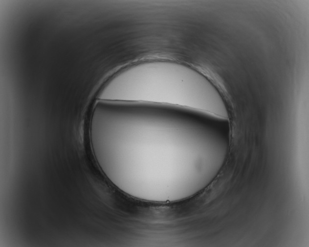 X0000088640108200705250927