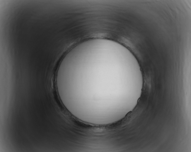X0000088640110200705250927