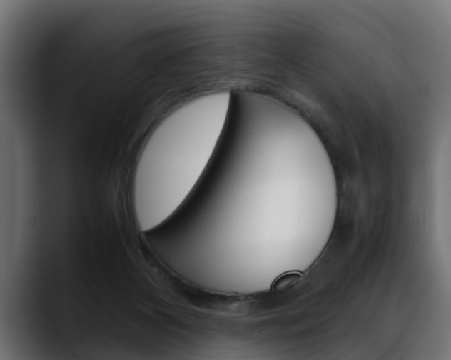 X0000088640116200705250927