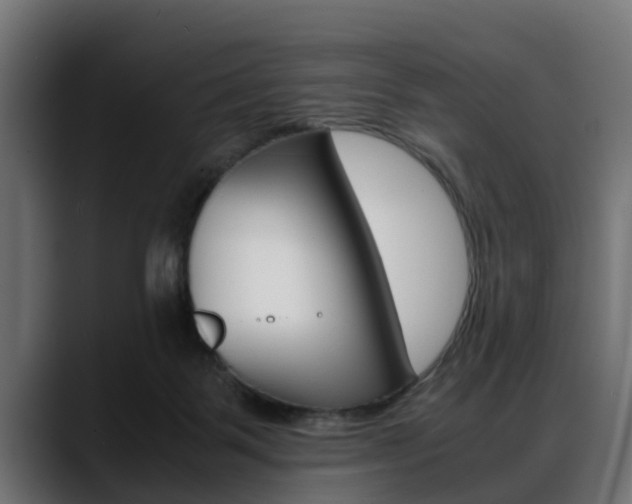 X0000088640123200705250927