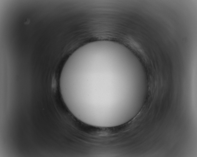 X0000088640124200705250926