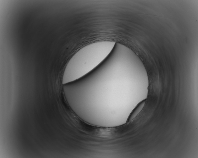 X0000088640134200705250926