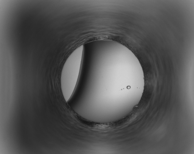 X0000088640139200705250926
