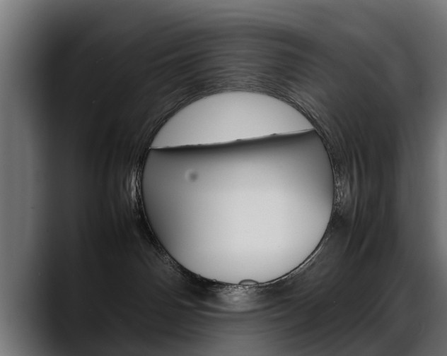 X0000088640142200705250926