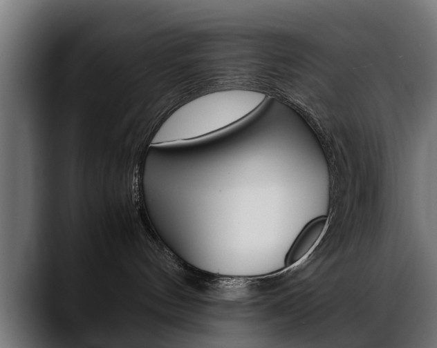 X0000088640144200705250926