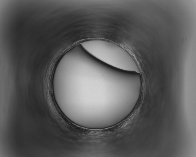 X0000088640145200705250926