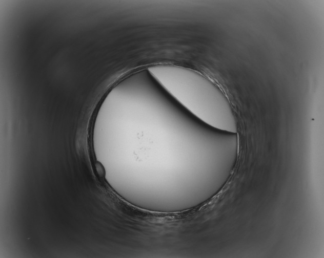 X0000088640147200705250926
