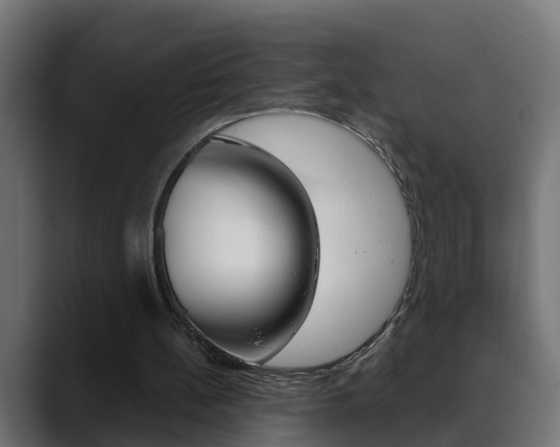 X0000088640148200705250926
